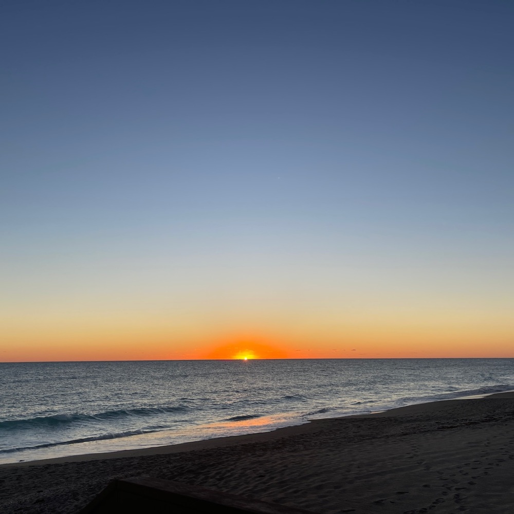 Meet your Posher, Queenie